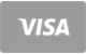 Visa bankkaart betaalicoon vlak ontwerp